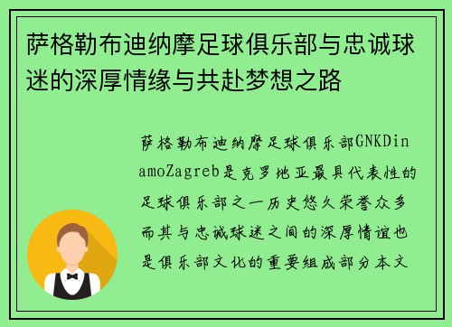 萨格勒布迪纳摩足球俱乐部与忠诚球迷的深厚情缘与共赴梦想之路