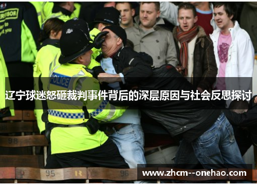 辽宁球迷怒砸裁判事件背后的深层原因与社会反思探讨 辽宁球迷怒砸裁判事件背后的深层原因与社会反思探讨