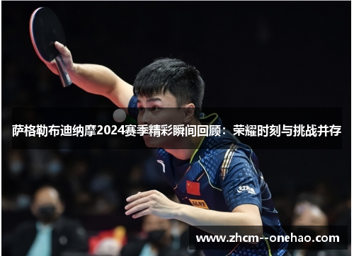 萨格勒布迪纳摩2024赛季精彩瞬间回顾:荣耀时刻与挑战并存 萨格勒布迪纳摩2024赛季精彩瞬间回顾:荣耀时刻与挑战并存