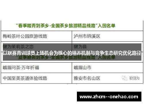 以联赛青训球员上场机会为核心的培养机制与竞争生态研究优化路径
